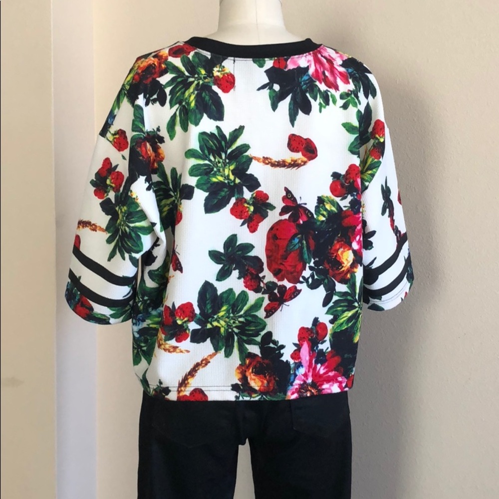 Divine Comedy - image 3